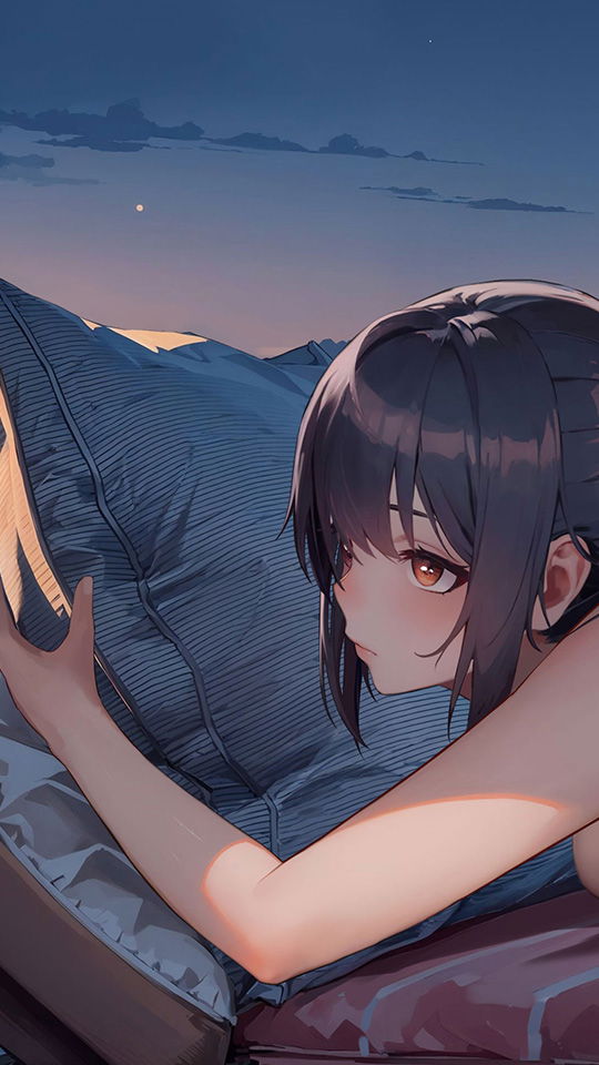 President's ambition banner